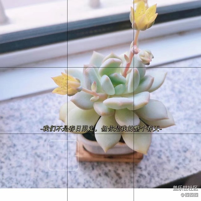 【春分時(shí)節(jié)】一些春天的味道