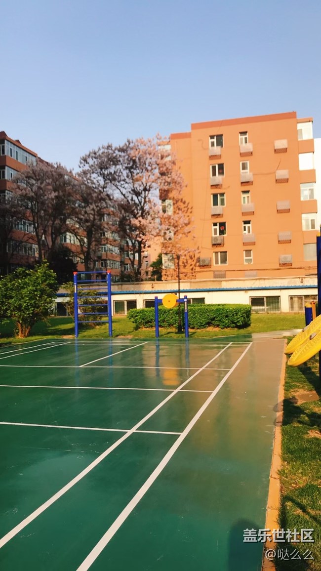 【春分時節(jié)】樓下花花