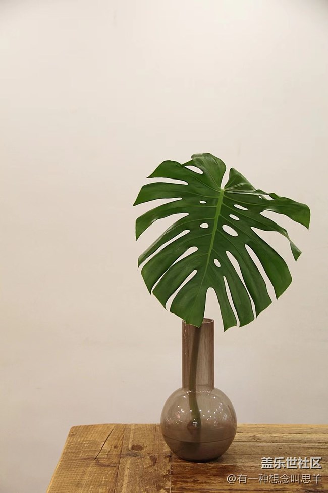 春分時節(jié)+瓶子里的花和葉