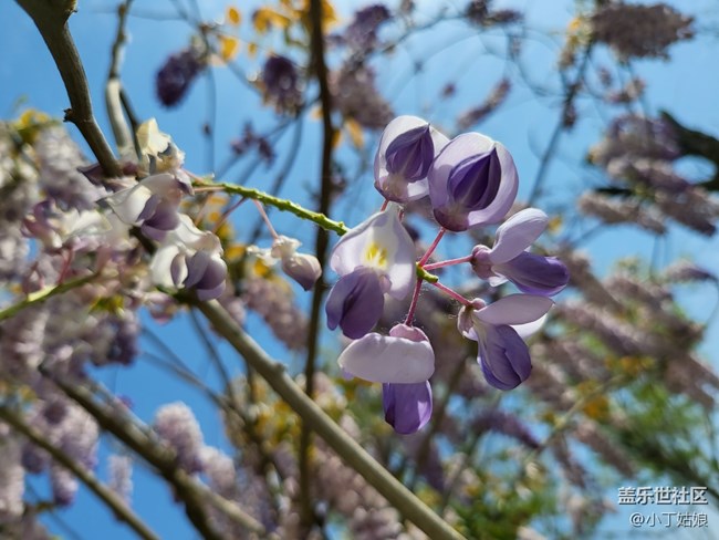 三星Galaxy Z Fold 3 隨手拍拍拍
