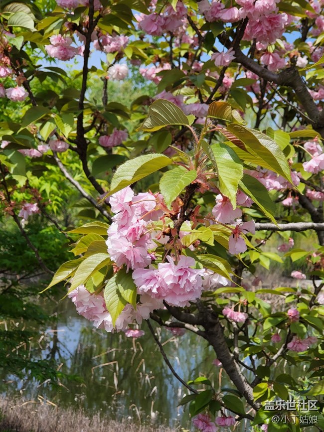 三星Galaxy Z Fold 3 隨手拍拍拍