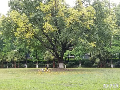 【四月物語】+公園煙雨