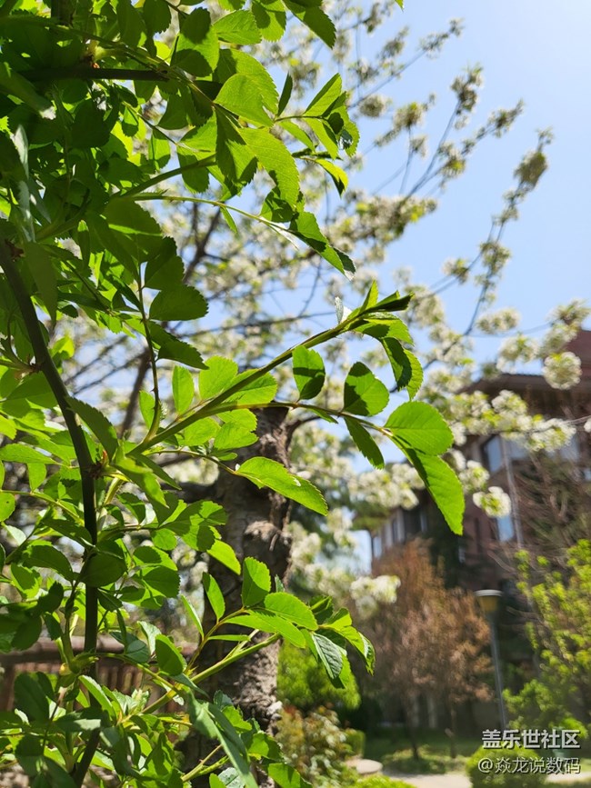 日常記錄生活，你們喜歡用相機(jī)or手機(jī)？