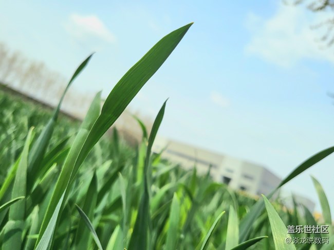 日常記錄生活，你們喜歡用相機(jī)or手機(jī)？