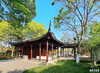 【四月物語】+春光正漾