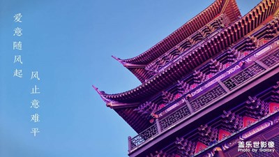愛意隨風(fēng)起，風(fēng)止意難平