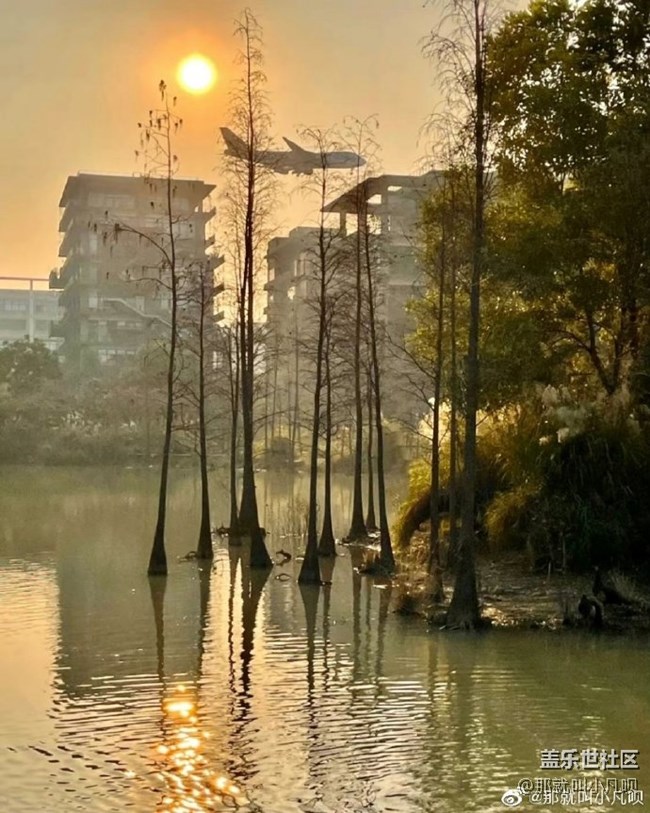 周末愉快，拍飛機(jī)去！