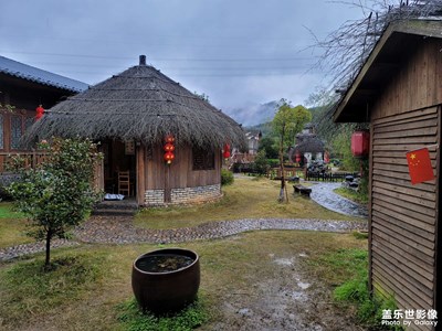 隨手拍