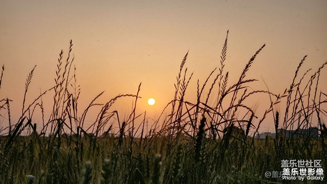 《每周星鮮事》 第102期:隨手拍好春光 抽取春日好禮