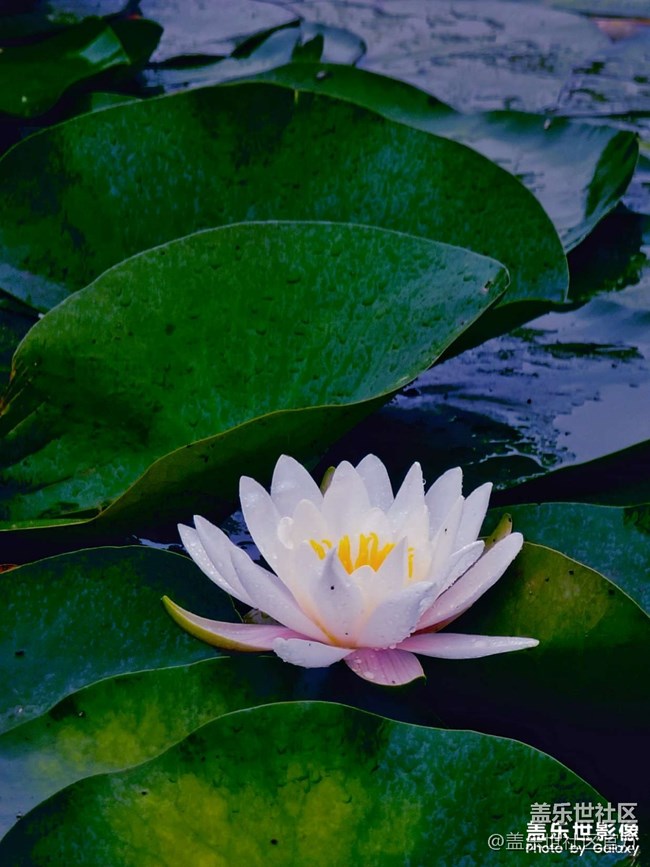 《每周星鮮事》 第102期:隨手拍好春光 抽取春日好禮