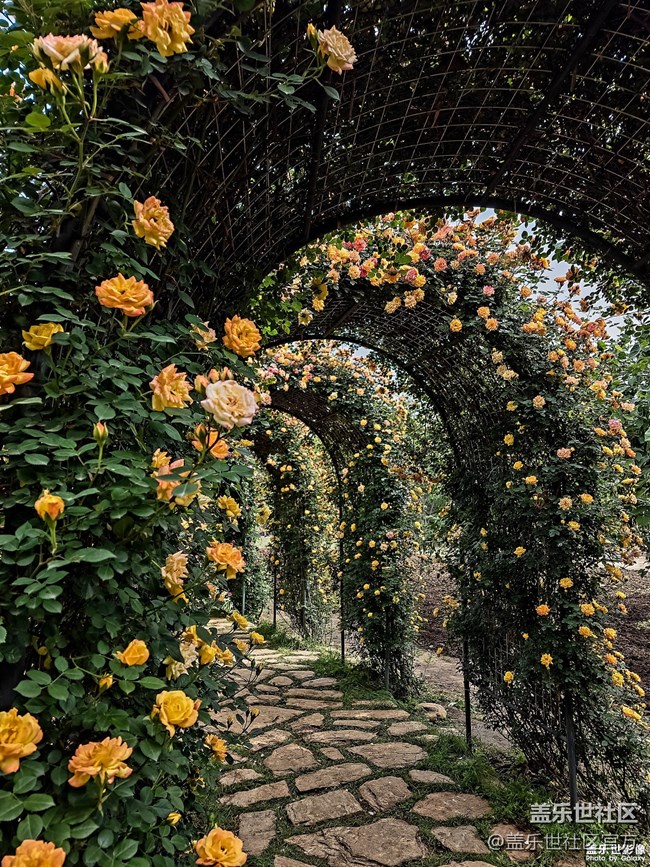 《每周星鮮事》 第102期:隨手拍好春光 抽取春日好禮