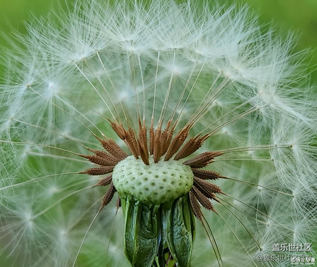《每周星鮮事》 第102期:隨手拍好春光 抽取春日好禮