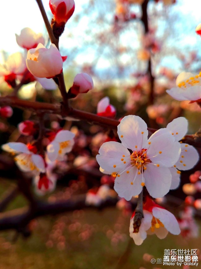 《每周星鮮事》 第102期:隨手拍好春光 抽取春日好禮