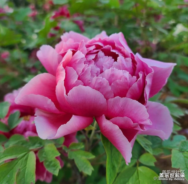 《每周星鮮事》 第102期:隨手拍好春光 抽取春日好禮