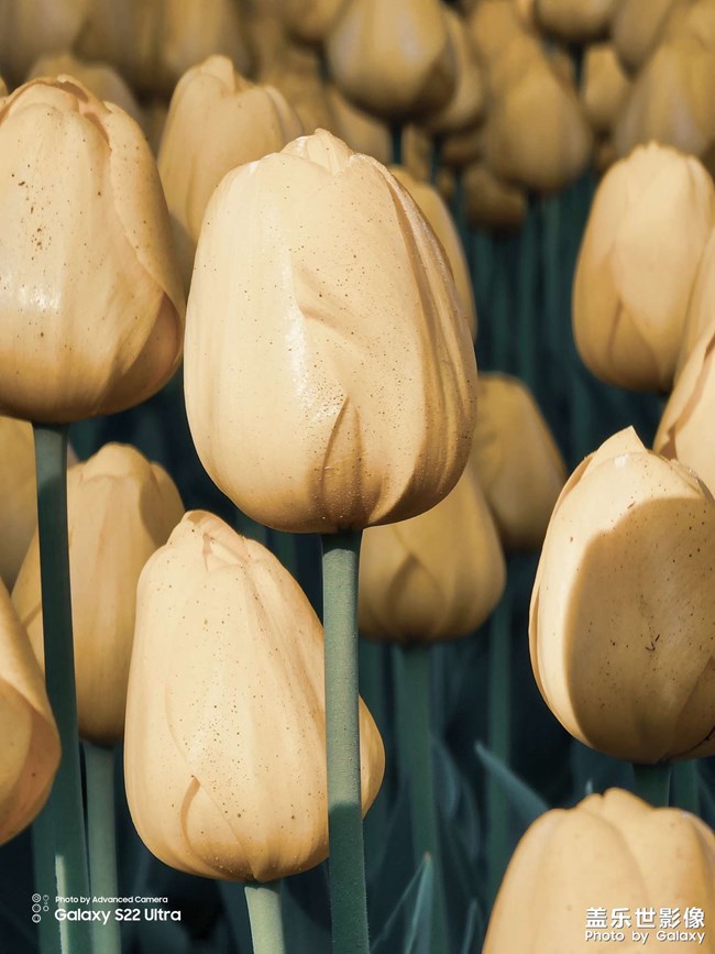 《每周星鮮事》 第102期:隨手拍好春光 抽取春日好禮