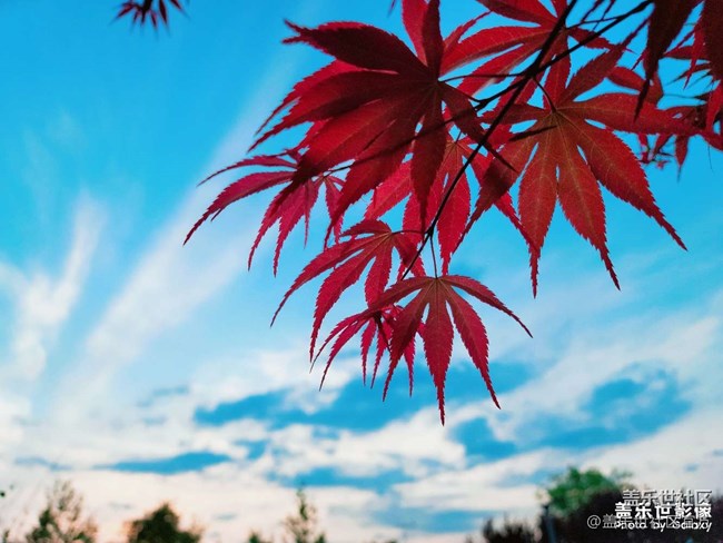 《每周星鮮事》 第102期:隨手拍好春光 抽取春日好禮