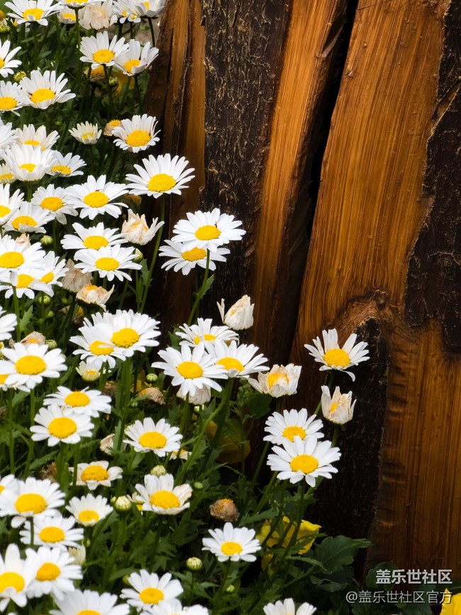 《每周星鮮事》 第102期:隨手拍好春光 抽取春日好禮