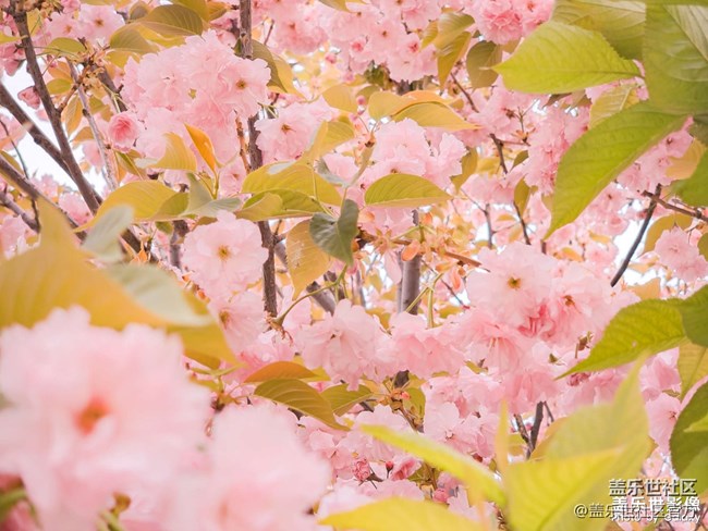 《每周星鮮事》 第102期:隨手拍好春光 抽取春日好禮