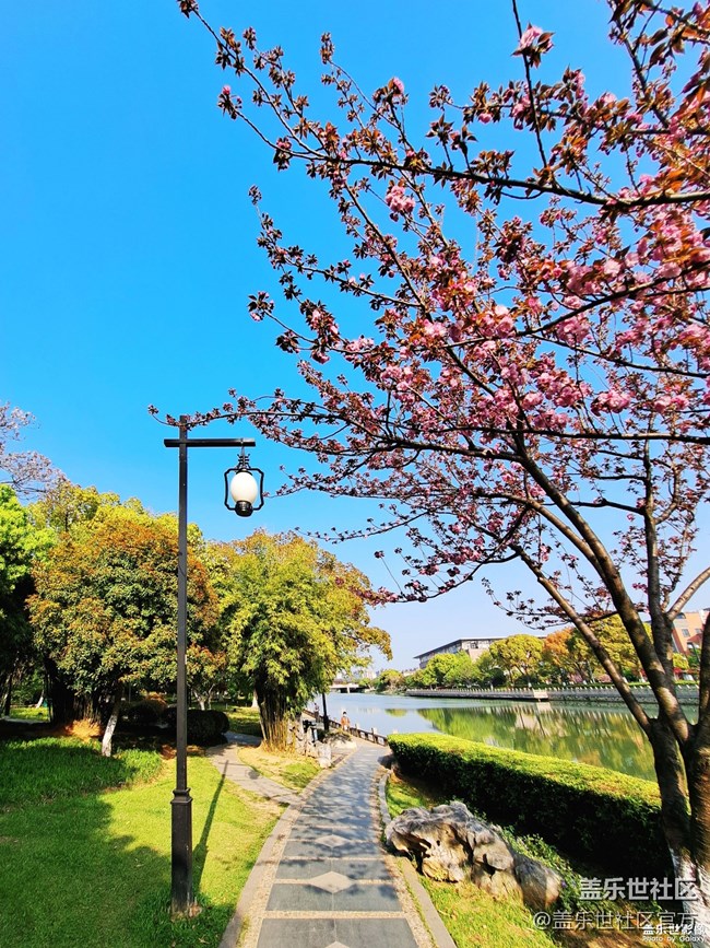 《每周星鮮事》 第102期:隨手拍好春光 抽取春日好禮