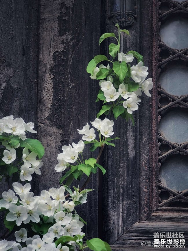 《每周星鮮事》 第102期:隨手拍好春光 抽取春日好禮