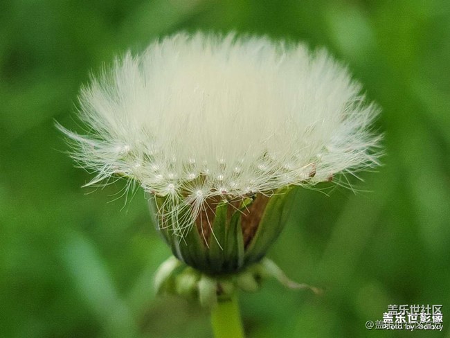 《每周星鮮事》 第102期:隨手拍好春光 抽取春日好禮