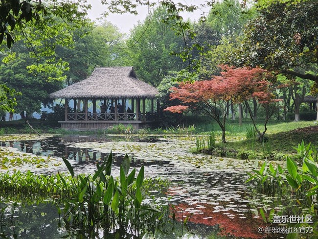 《每周星鮮事》 第102期:隨手拍好春光 抽取春日好禮