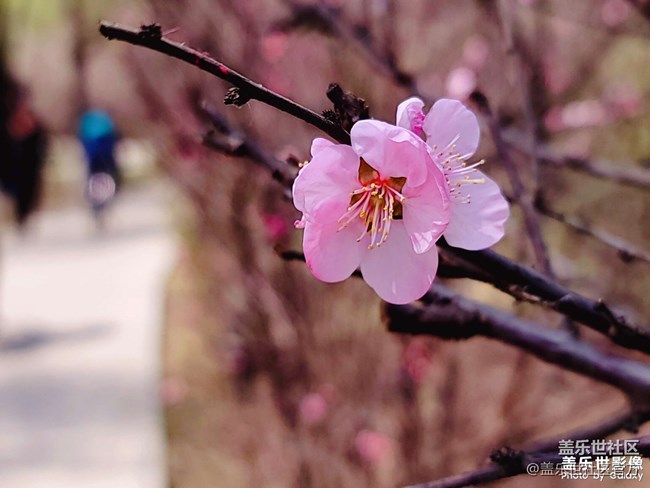 《每周星鮮事》 第102期:隨手拍好春光 抽取春日好禮