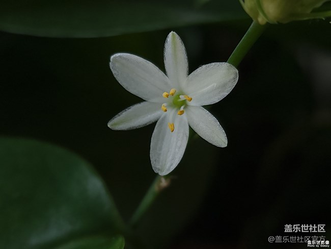 《每周星鮮事》 第102期:隨手拍好春光 抽取春日好禮