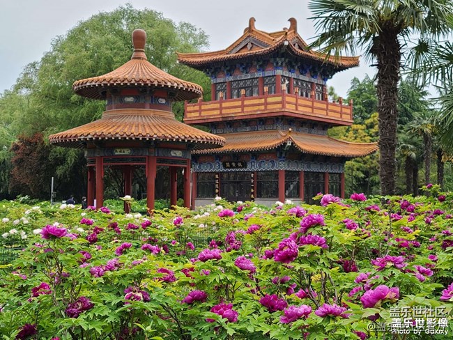 《每周星鮮事》 第102期:隨手拍好春光 抽取春日好禮