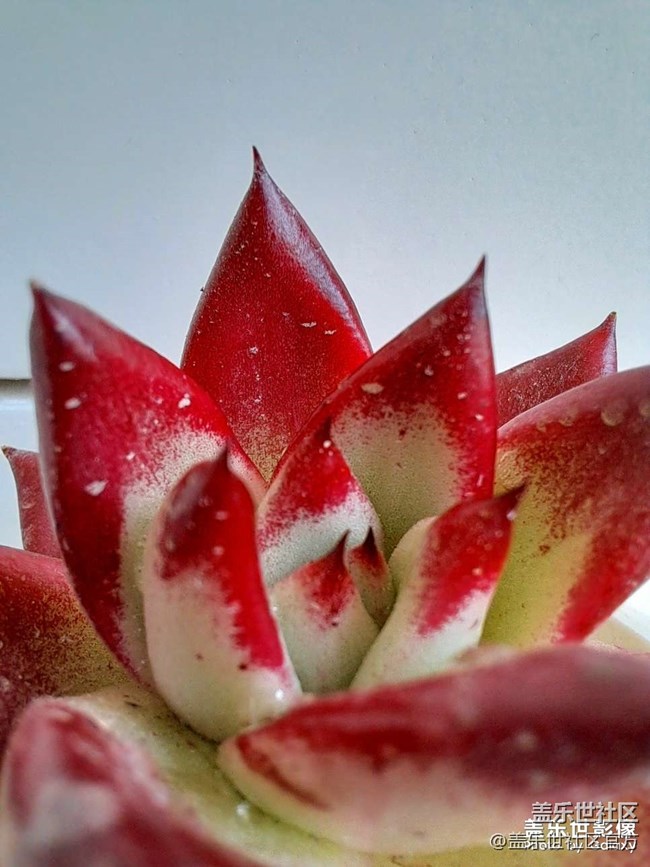 《每周星鮮事》 第102期:隨手拍好春光 抽取春日好禮