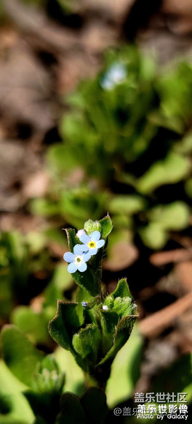 《每周星鮮事》 第102期:隨手拍好春光 抽取春日好禮