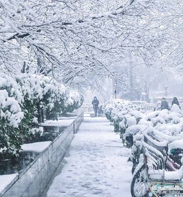 那場雪