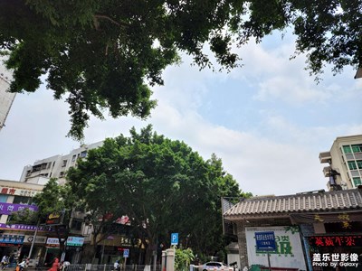 隨手拍一張