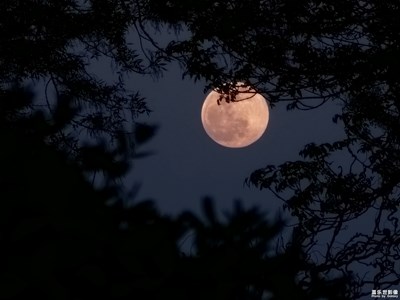 【夜城春】春風十里