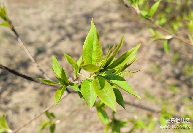 【溫暖前行】+新綠