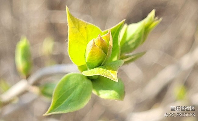 【溫暖前行】+新綠