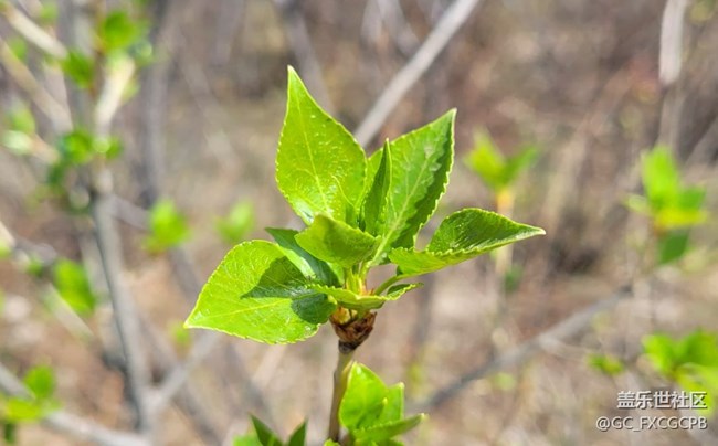 【溫暖前行】+新綠