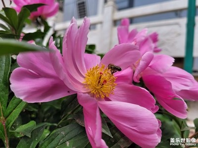 五一假期開(kāi)啟田園模式