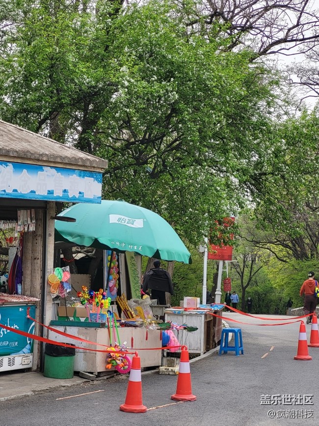 用手機(jī)隨手記錄生活，這花開的也太美了！