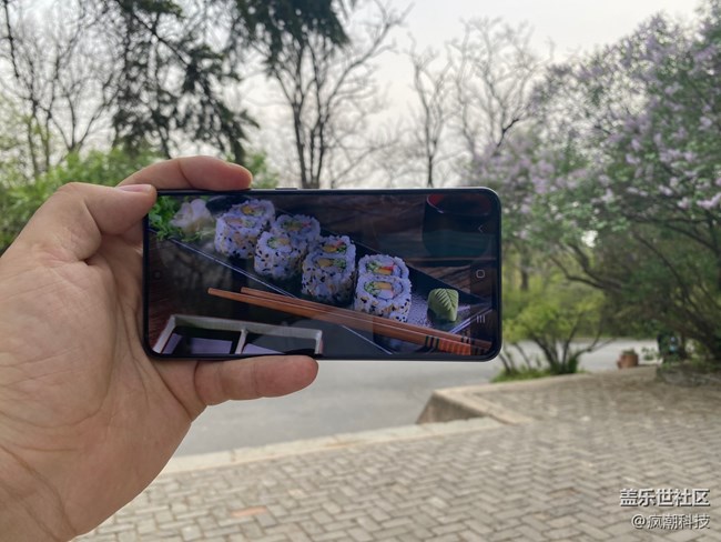 用手機(jī)隨手記錄生活，這花開的也太美了！