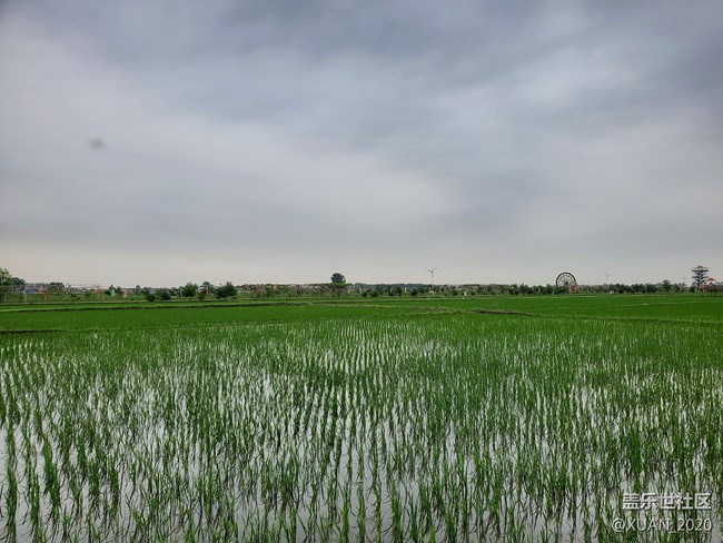 【食糧】+一粒米的故事