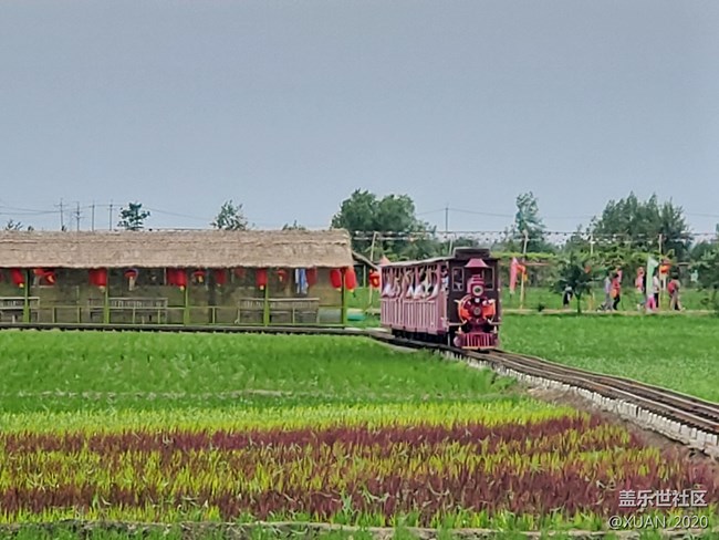 【食糧】+一粒米的故事