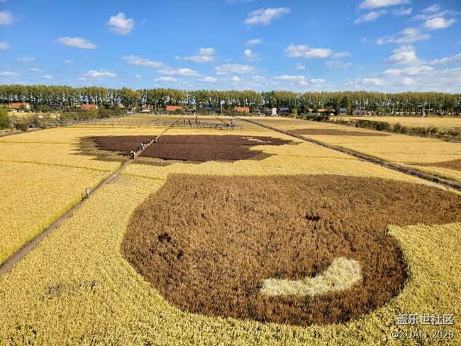 【食糧】+一粒米的故事