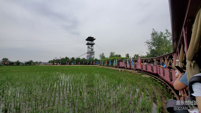 【食糧】+一粒米的故事