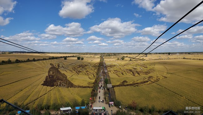 【食糧】+一粒米的故事