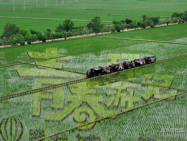 【食糧】+一粒米的故事