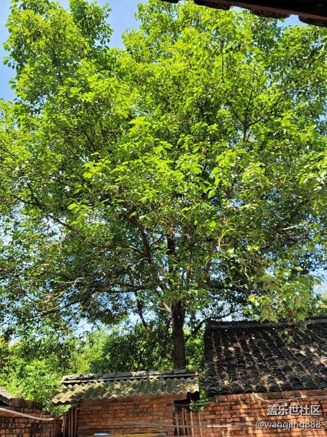 相機不對焦了，照出來是虛的。