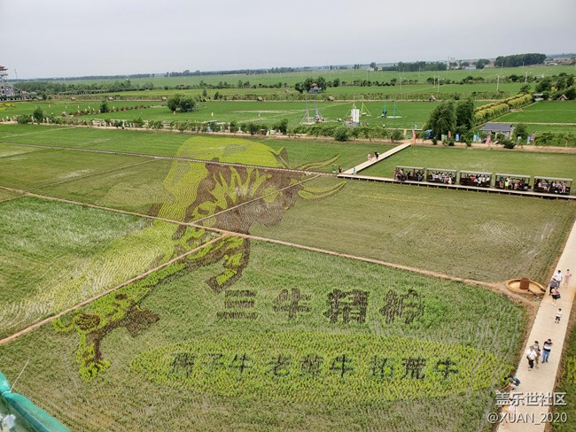 【食糧】+一粒米的故事