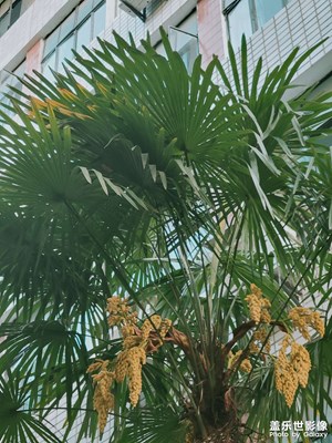 隨便拍拍