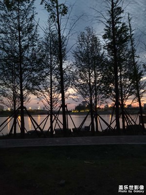 莫道桑榆晚，為霞尚滿天。